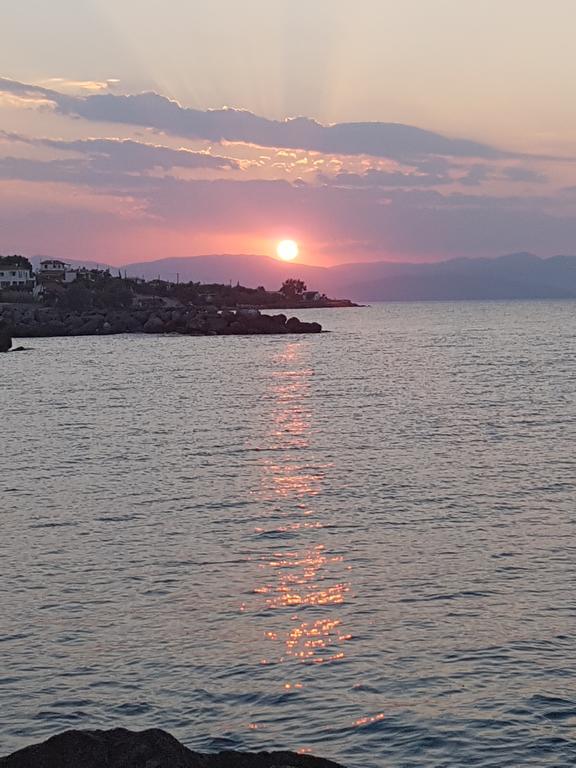 Pansion Marousa Méthana Dış mekan fotoğraf